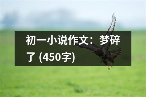初一小說作文：夢碎了 (450字)