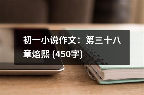 初一小說作文：第三十八章焰熙 (450字)