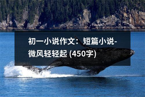 初一小說(shuō)作文：短篇小說(shuō)-微風(fēng)輕輕起 (450字)