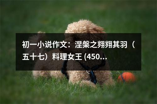 初一小說(shuō)作文：涅槃之翙翙其羽（五十七）料理女王 (450字)