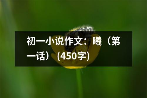 初一小說(shuō)作文：曦（第一話） (450字)