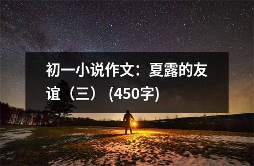 初一小說作文：夏露的友誼（三） (450字)