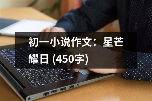 初一小說作文：星芒耀日 (450字)