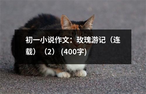 初一小說作文：玫瑰游記（連載）（2） (400字)