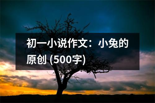 初一小說作文：小兔的原創(chuàng) (500字)