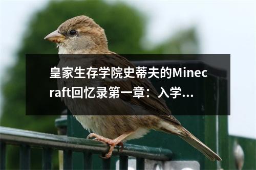 皇家生存學(xué)院史蒂夫的Minecraft回憶錄第一章：入學(xué)回憶 (450字)