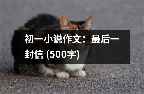 初一小說作文：最后一封信 (500字)