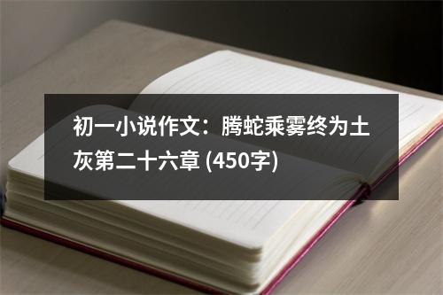 初一小說作文：騰蛇乘霧終為土灰第二十六章 (450字)