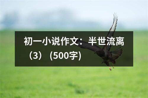 初一小說作文：半世流離（3） (500字)
