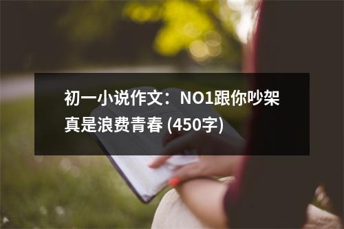 初一小說作文：NO1跟你吵架真是浪費(fèi)青春 (450字)