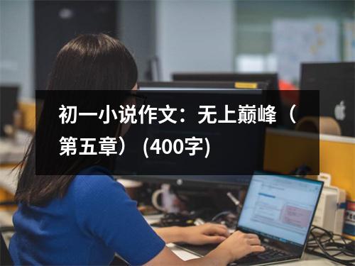 初一小說作文：無上巔峰（第五章） (400字)