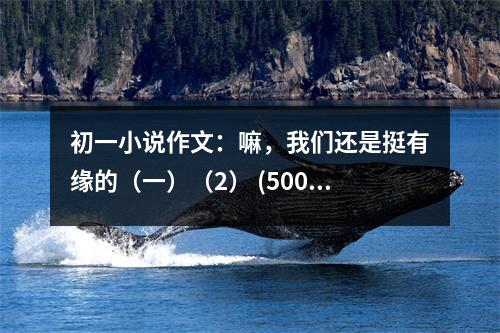 初一小說作文：嘛，我們還是挺有緣的（一）（2） (500字)