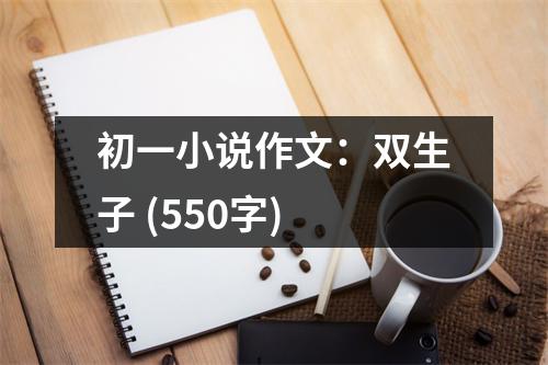 初一小說作文：雙生子 (550字)