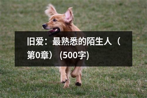 舊愛：最熟悉的陌生人（第0章） (500字)