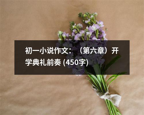 初一小說作文：（第六章）開學典禮前奏 (450字)