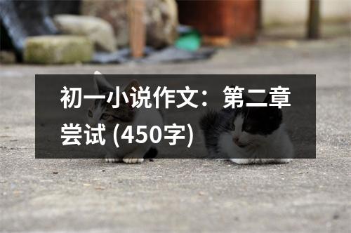 初一小說作文：第二章嘗試 (450字)