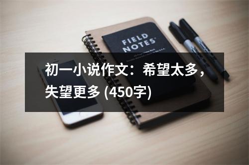 初一小說作文：希望太多，失望更多 (450字)