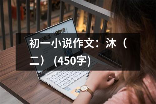 初一小說作文：沐（二） (450字)