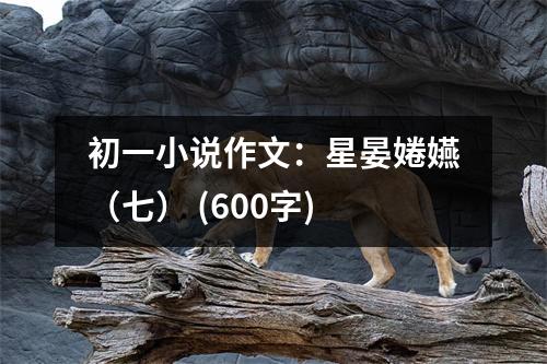 初一小說作文：星晏婘嬿（七） (600字)