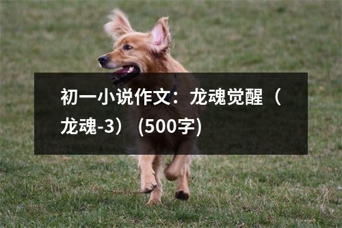 初一小說作文：龍魂覺醒（龍魂-3） (500字)