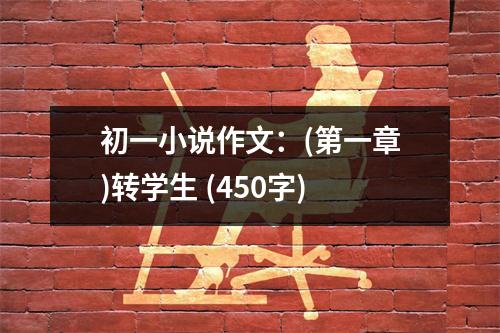 初一小說(shuō)作文：(第一章)轉(zhuǎn)學(xué)生 (450字)