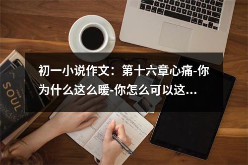 初一小說(shuō)作文：第十六章心痛-你為什么這么暖-你怎么可以這么美 (450字)