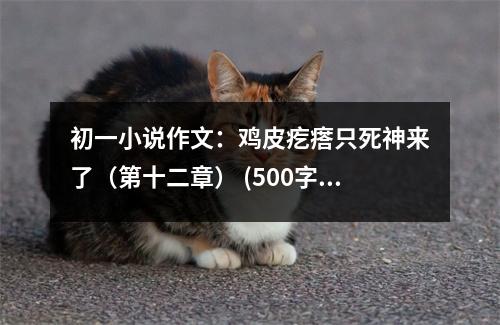 初一小說(shuō)作文：雞皮疙瘩只死神來(lái)了（第十二章） (500字)