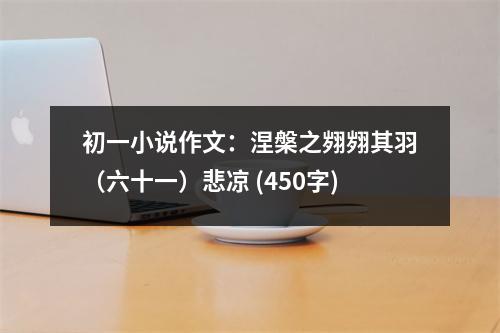 初一小說(shuō)作文：涅槃之翙翙其羽（六十一）悲涼 (450字)