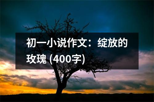 初一小說作文：綻放的玫瑰 (400字)