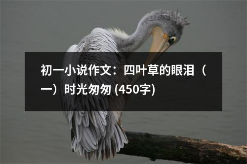 初一小說作文：四葉草的眼淚（一）時光匆匆 (450字)