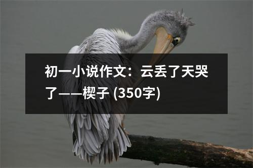 初一小說作文：云丟了天哭了——楔子 (350字)