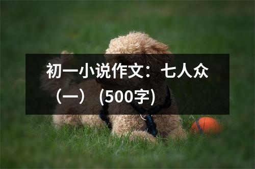 初一小說作文：七人眾（一） (500字)