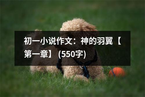初一小說作文：神的羽翼【第一章】 (550字)