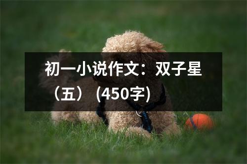 初一小說(shuō)作文：雙子星（五） (450字)