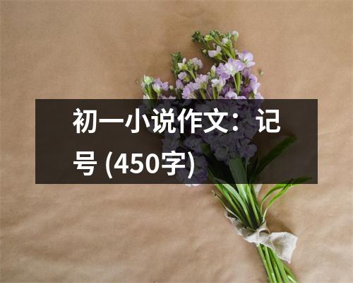 初一小說(shuō)作文：記號(hào) (450字)