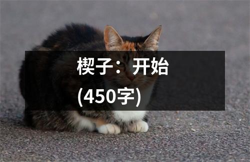 楔子：開始 (450字)