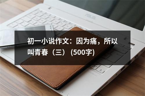 初一小說作文：因為痛，所以叫青春（三） (500字)