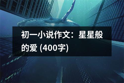 初一小說作文：星星般的愛 (400字)