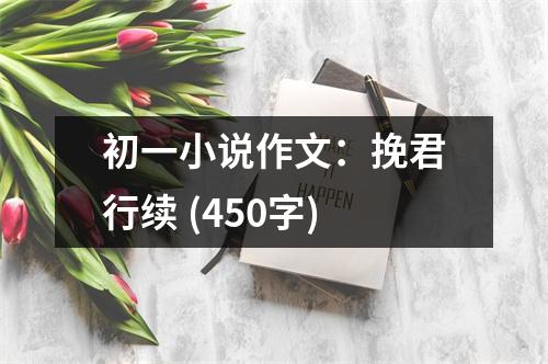 初一小說作文：挽君行續(xù) (450字)