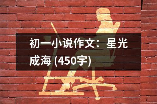初一小說作文：星光成海 (450字)