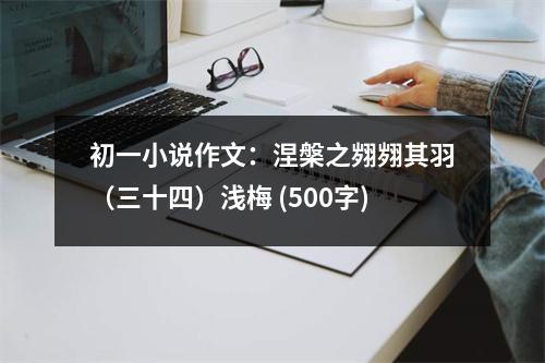 初一小說作文：涅槃之翙翙其羽（三十四）淺梅 (500字)