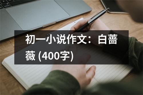 初一小說作文：白薔薇 (400字)