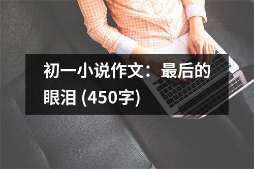 初一小說作文：最后的眼淚 (450字)