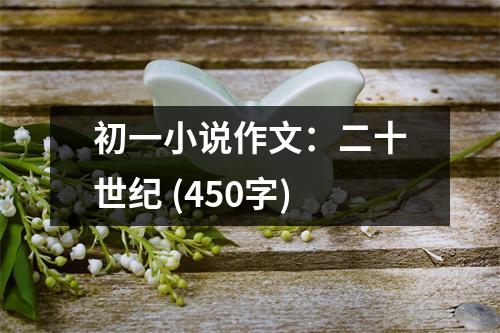 初一小說作文：二十世紀(jì) (450字)