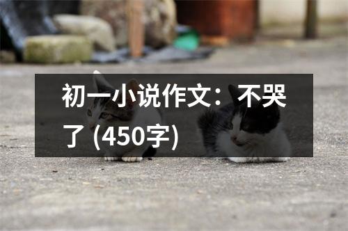 初一小說作文：不哭了 (450字)