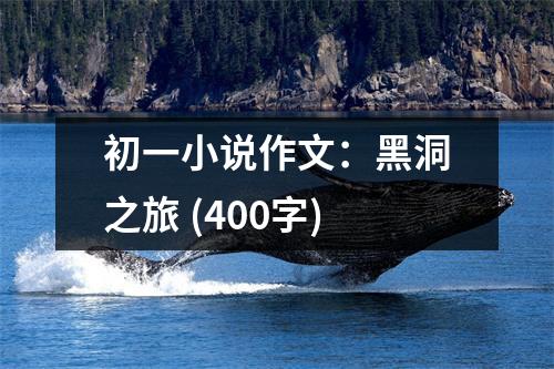 初一小說(shuō)作文：黑洞之旅 (400字)