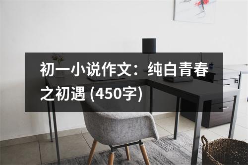 初一小說作文：純白青春之初遇 (450字)