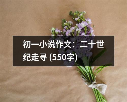 初一小說作文：二十世紀(jì)走尋 (550字)