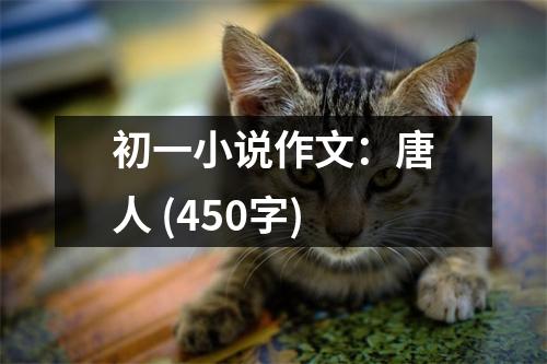 初一小說作文：唐人 (450字)