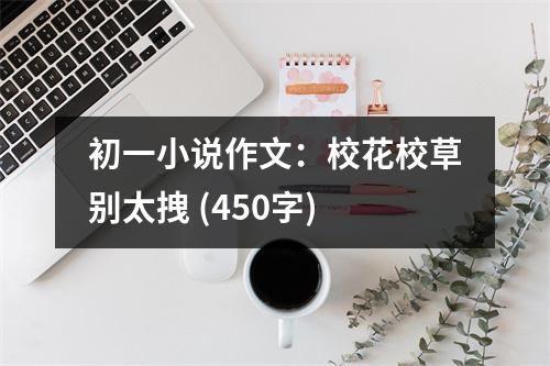 初一小說作文：?；ㄐ２輨e太拽 (450字)